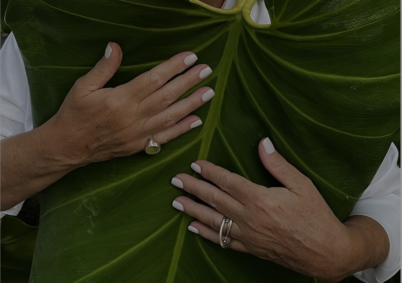 What Carries Forward: An Interview with Lucia B. Martí